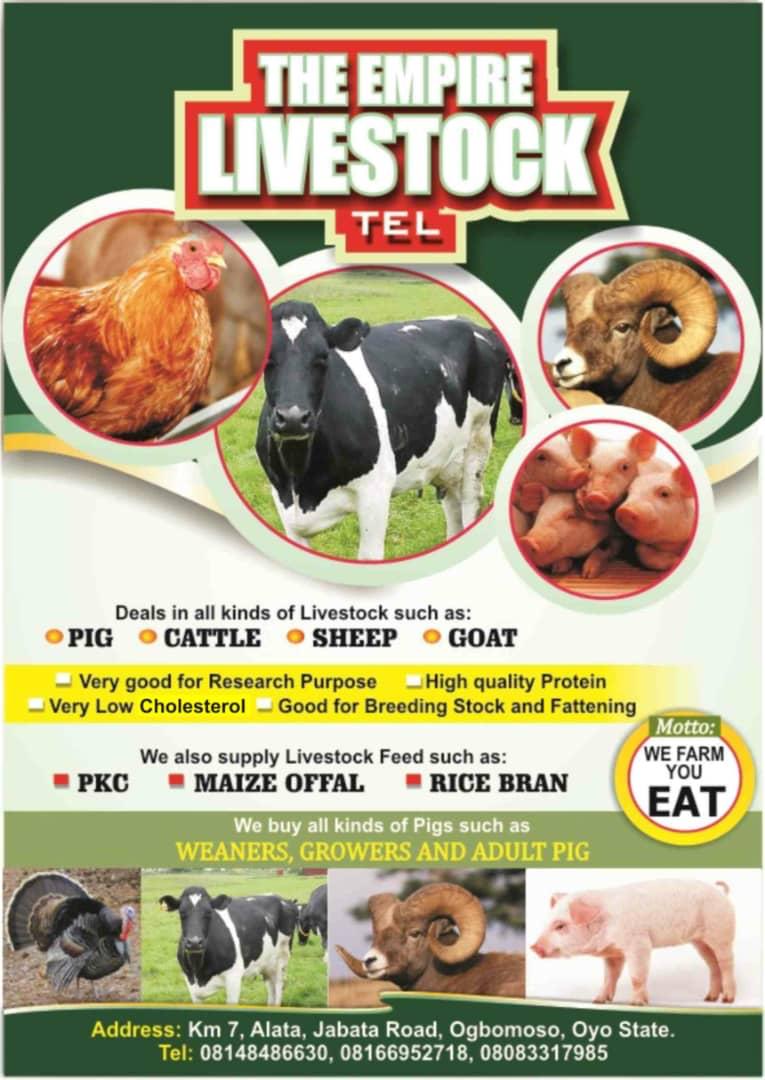 Tel Livestock