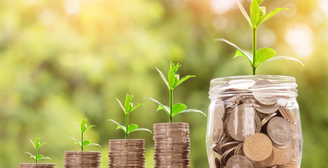 money, coin, investment
