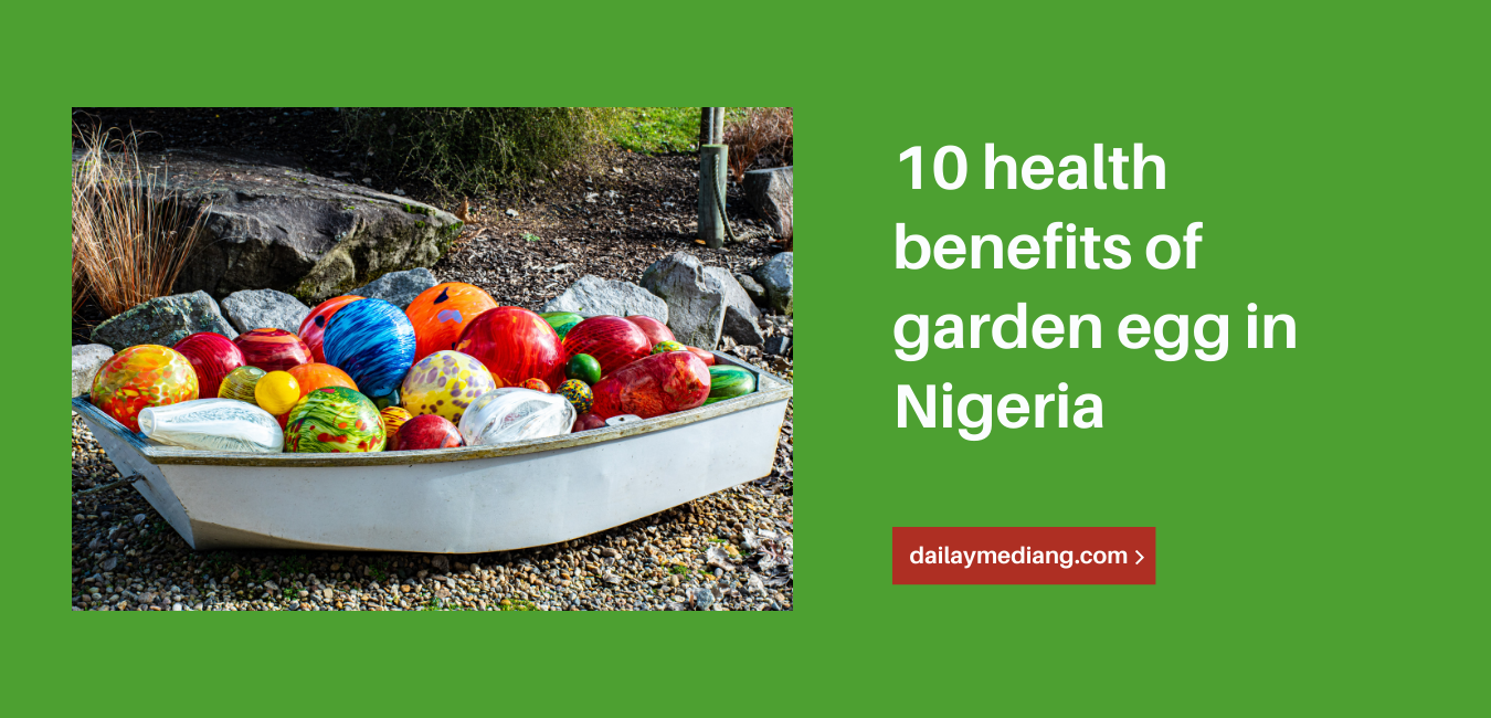10 Health Benefits Of Garden Egg In Nigeria