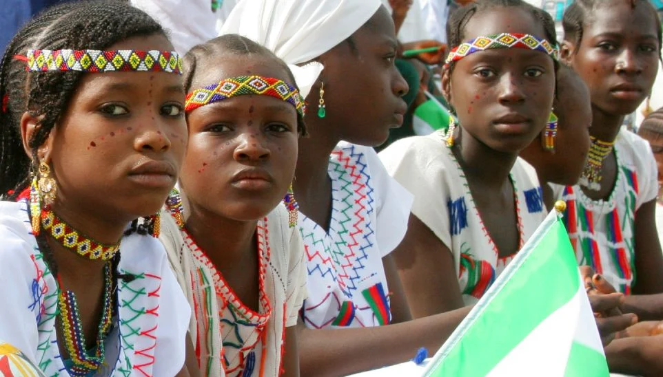 Is Nigeria Developing?