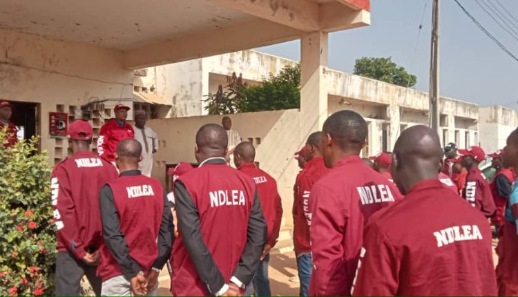 NDLEA officials
